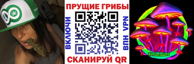 Галлюциногенные грибы Psilocybe  Ачинск 