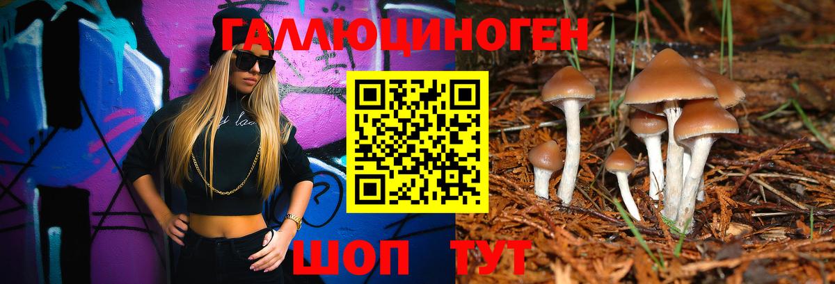 Ачинск  Галлюциногенные грибы мицелий  Вход с VPN 