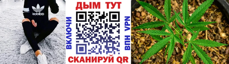 продажа наркотиков  Ачинск  Шишки марихуана план 